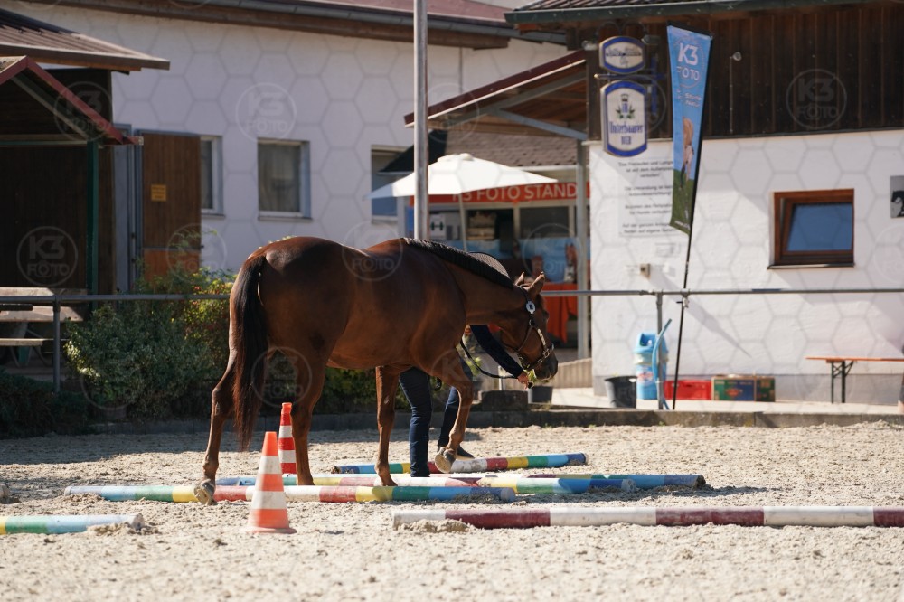 s_A_907565.JPG